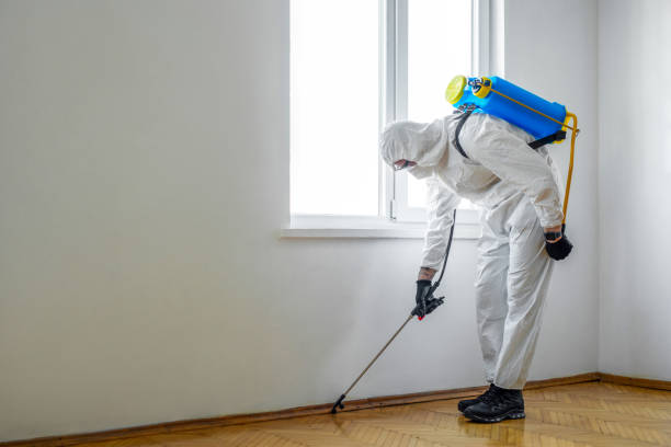 Best Pest Exclusion Services  in Dearborn, MI